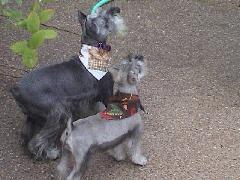 Corny and Spuddy when Corny was still little.jpg